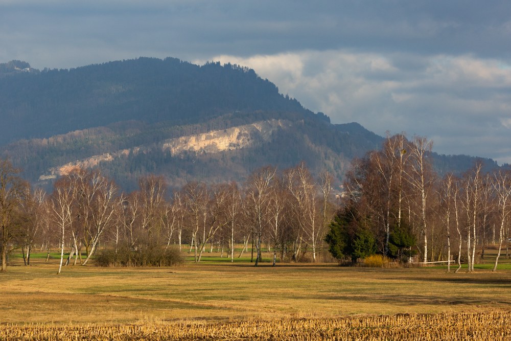 Lauteracherried im Jänner 64